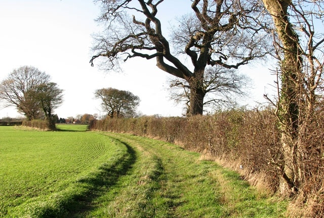 A hedge-lined path. This public footpath starts by a former crossing cottage on the Waveney Valley Line > 1595953 - 1595964 west of the A140 (Norwich Road), leading westwards to Tivetshall St Margaret.