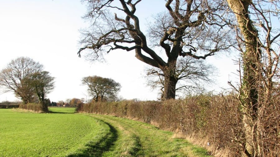 Photo "A hedge-lined path. This public footpath starts by a former crossing cottage on the Waveney Valley Line > 1595953 - 1595964 west of the A140 (Norwich Road), leading westwards to Tivetshall St Margaret." by Evelyn Simak (Creative Commons Attribution-Share Alike 2.0) / Cropped from original