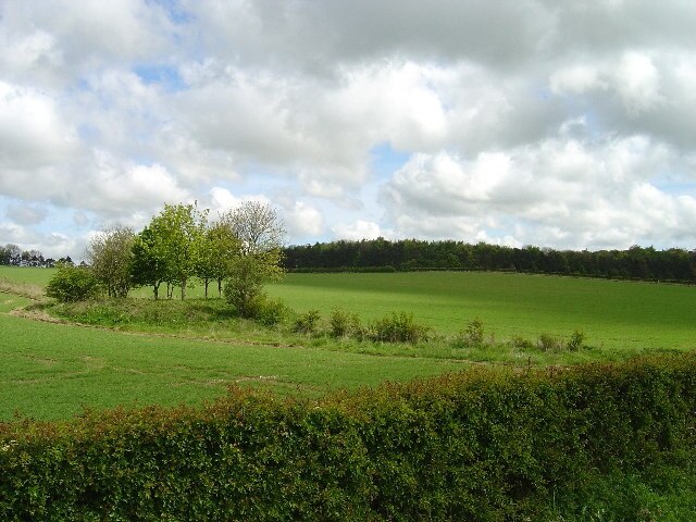 Foto “Etton” tomada por Ian Lavender (CC BY-SA); recorte de la original