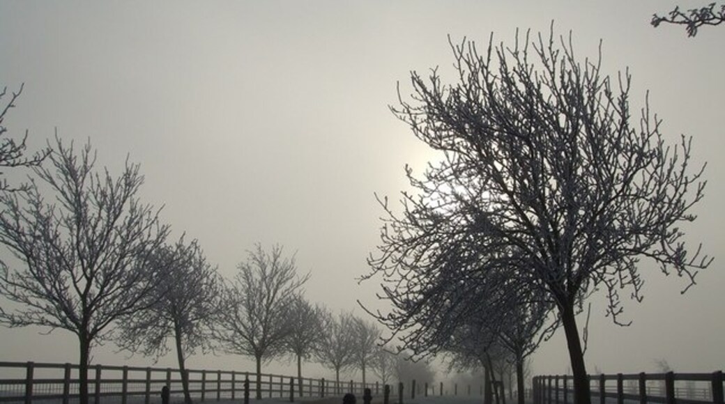 Photo "Wingrave with Rowsham" by Rob Farrow (CC BY-SA) / Cropped from original