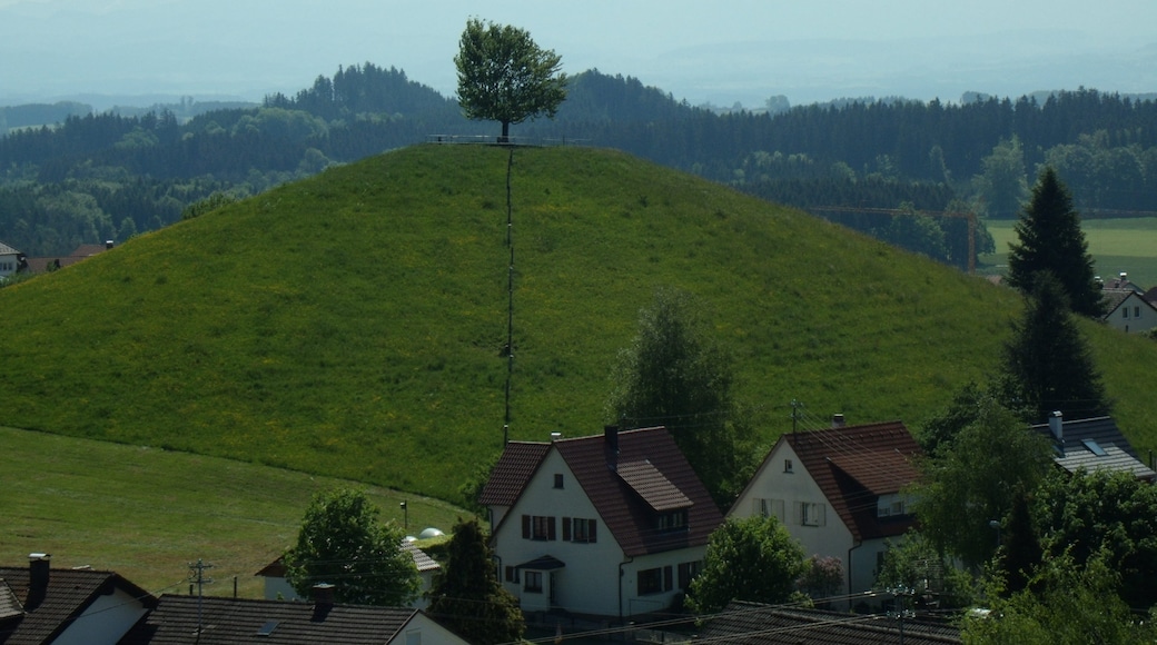 Photo "Waldburg" by Richard Mayer (CC BY) / Cropped from original