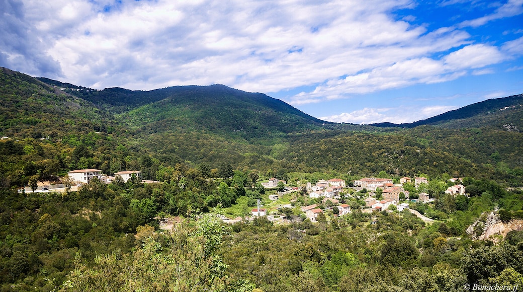 Foto „Serra-di-Fiumorbo“ von Bonachera jf (page does not exist) (CC BY-SA)/zugeschnittenes Original
