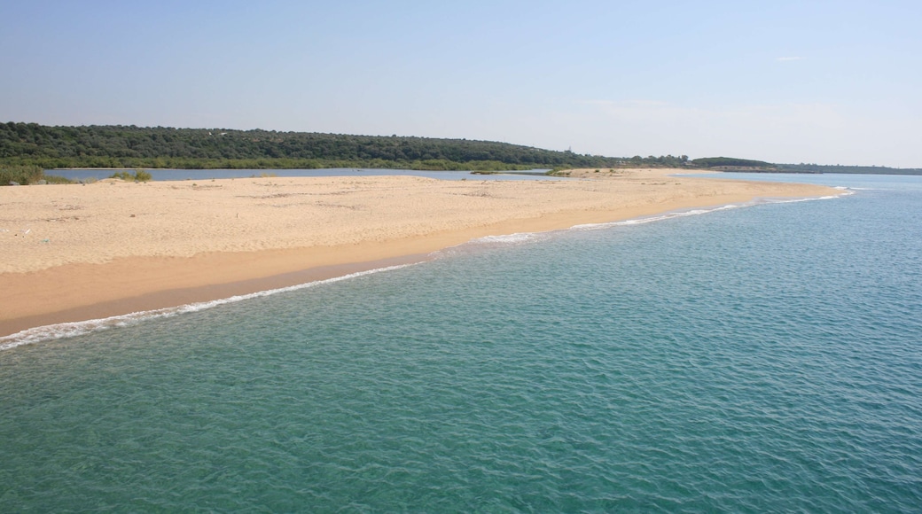 Foto ‘Marina di Orosei-strand’ van Carlo Pelagalli (CC BY-SA) / bijgesneden versie van origineel