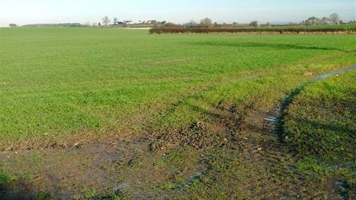 Billede "Appleton Wiske" af Mick Garratt (CC BY-SA) / beskåret fra det originale billede