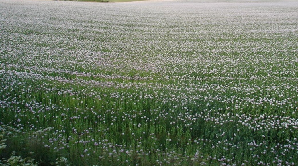 Foto "Temple Bruer com Temple High Grange" de Ian Paterson (CC BY-SA) / Recortada do original