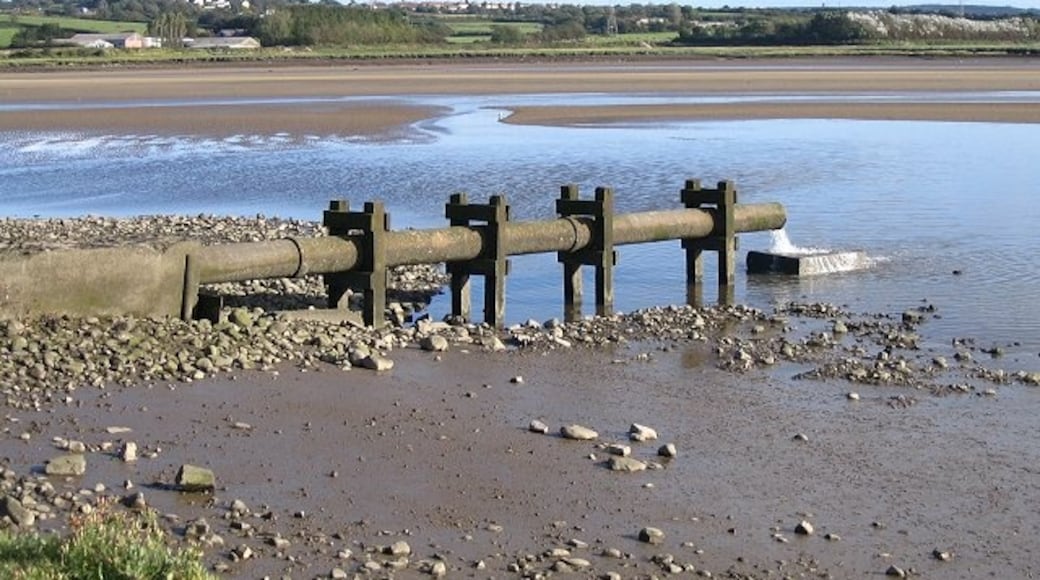 Photo "Loughor" by Nigel Davies (CC BY-SA) / Cropped from original