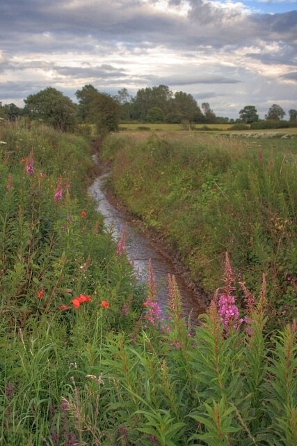 Photo "Dalton" by Mick Garratt (CC BY-SA) / Cropped from original