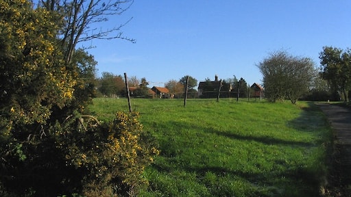 Foto „Stanford Rivers“ von John Winfield (CC BY-SA)/zugeschnittenes Original