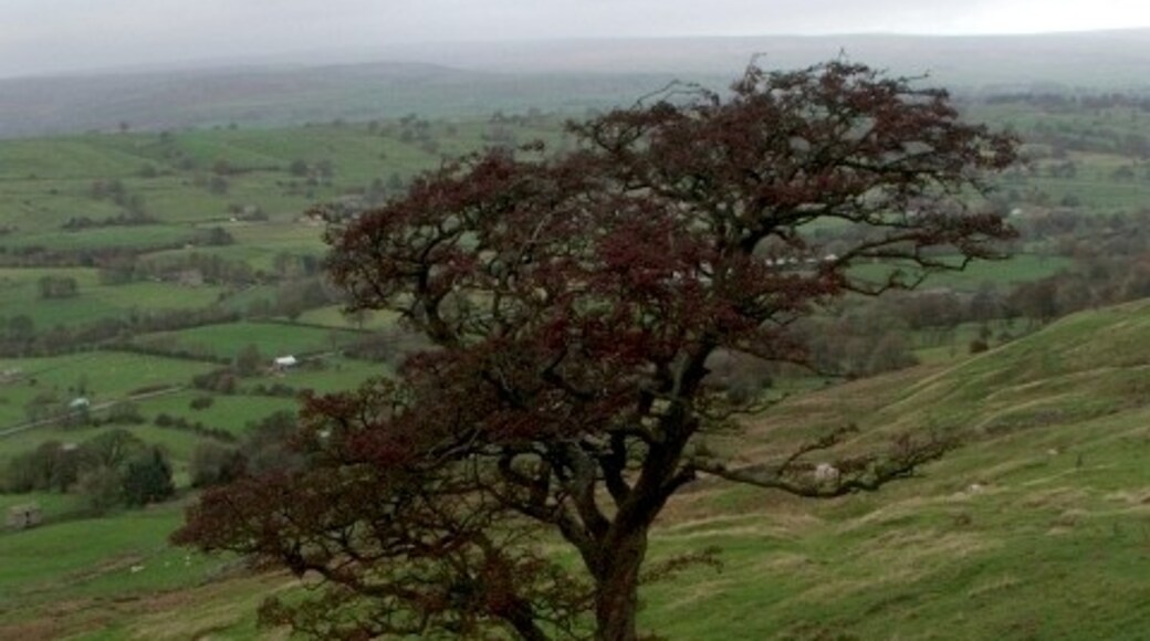 Foto “Newbiggin” tomada por Steve Partridge (CC BY-SA); recorte de la original