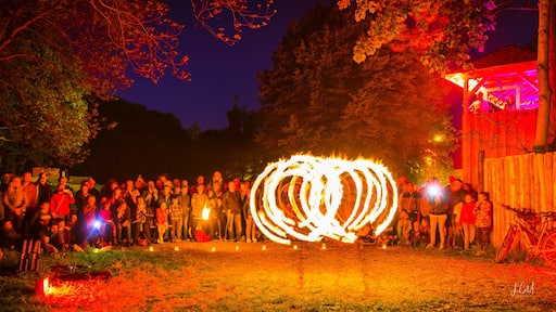 Billede "Gebiet Reichenbacher Str./Freiheitssiedlung" af Lgm 2008 2018 (CC BY-SA) / beskåret fra det originale billede