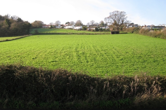 Cofton Hill, Cockwood, and grassland to the south The field boundaries, left and above centre, are not on OS Explorer.