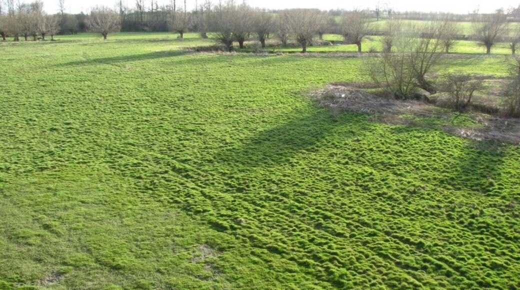 "King's Sutton"-foto av Kurt C (CC BY-SA) / Urklipp från original