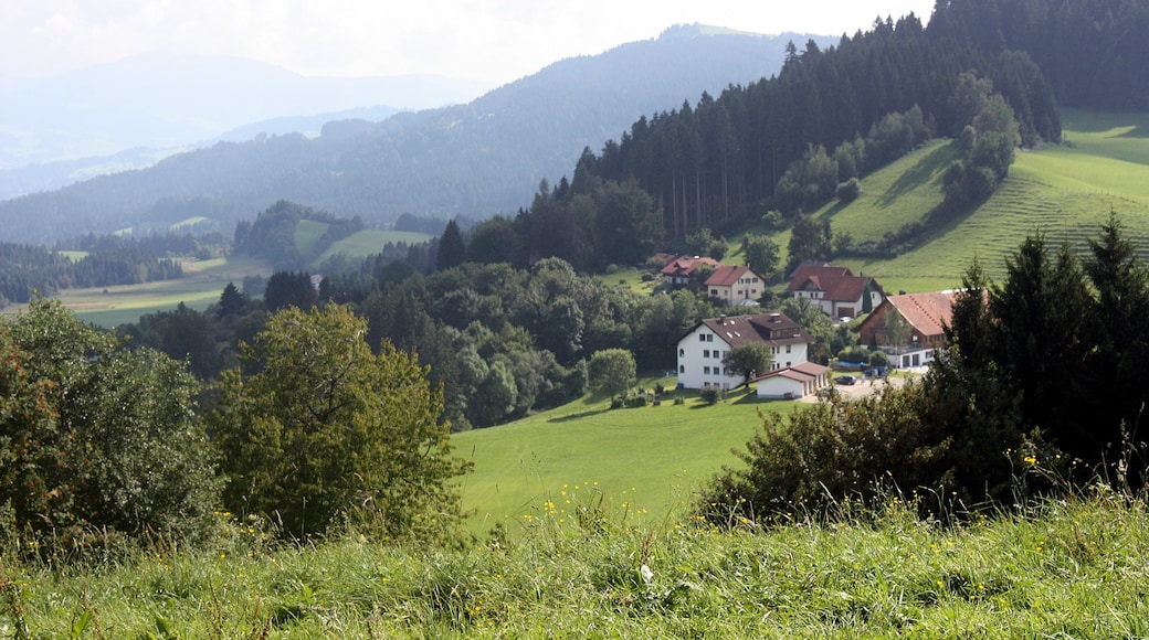 Foto „Scheidegg“ von Dguendel (page does not exist) (CC BY)/zugeschnittenes Original