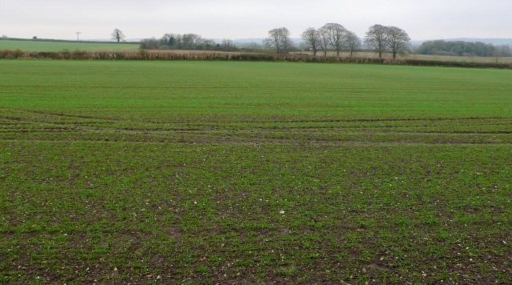 "Shapwick"-foto av Nigel Mykura (CC BY-SA) / Urklipp från original