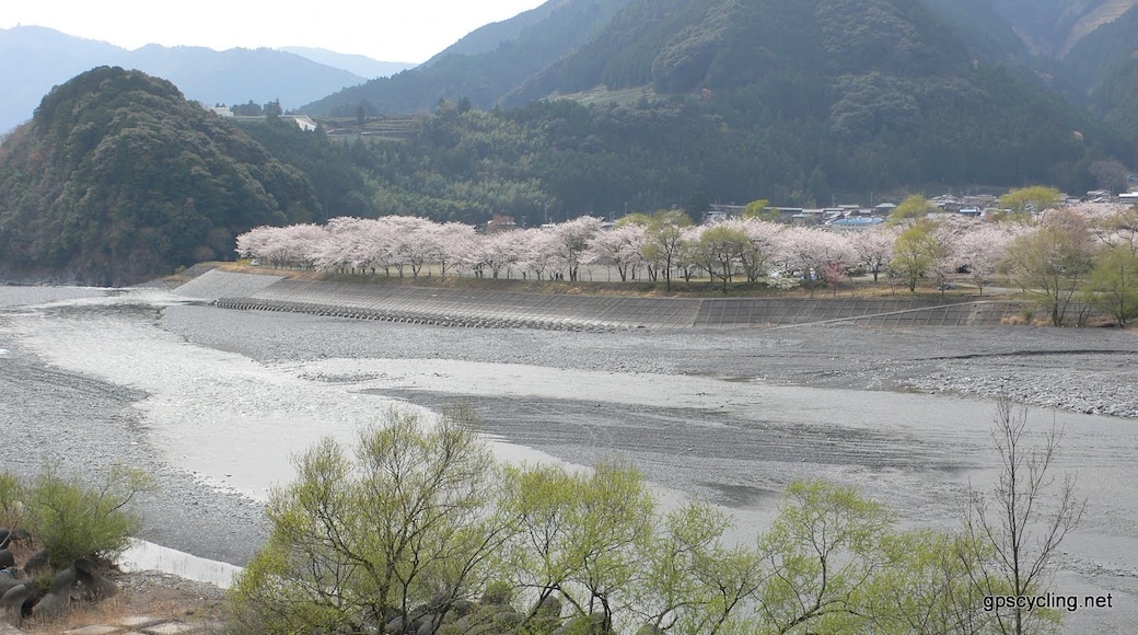 Ảnh "Sông Oi" của Yobito KAYANUMA (CC BY-SA) / Cắt từ ảnh gốc