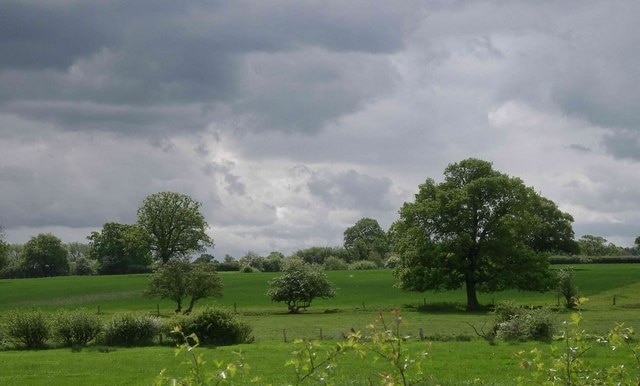 Foto "Ranton" de Gill Stott (CC BY-SA) / Recortada do original