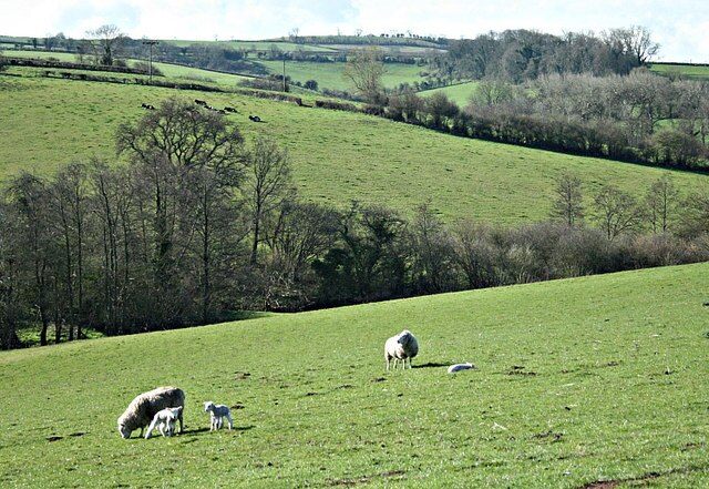"Newton St. Loe"-foto av Maurice Pullin (CC BY-SA) / Urklipp från original
