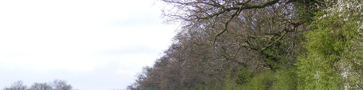 Photo "Bridleway to Benhall Church" by Adrian Cable (Creative Commons Attribution-Share Alike 2.0) / Cropped from original
