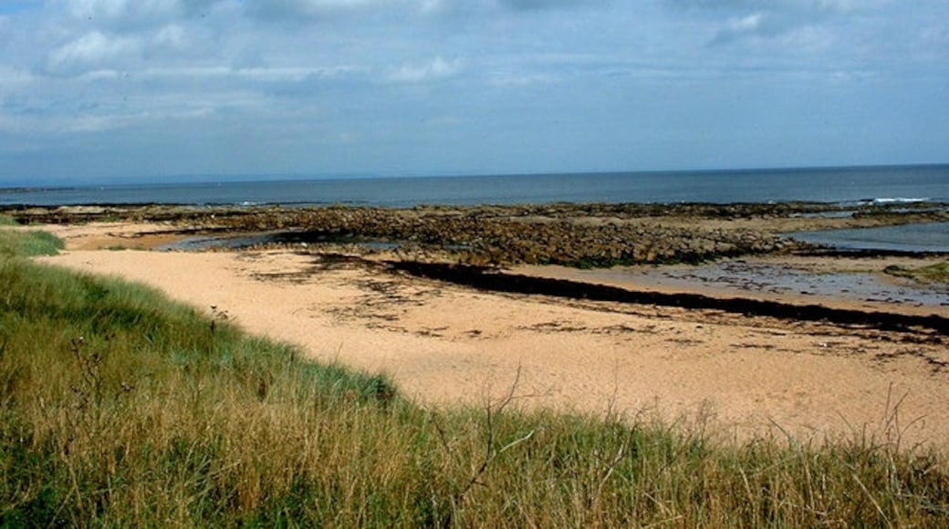 Photo "Kingsbarns" by Mark White (CC BY-SA) / Cropped from original