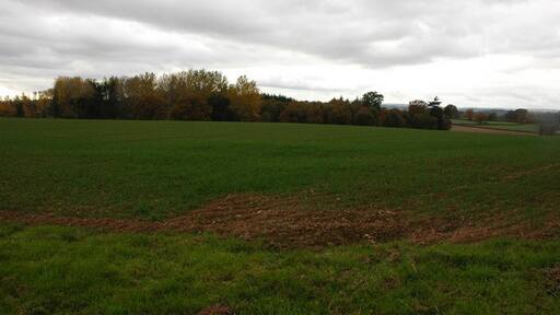 Foto “Sarnesfield” tomada por Philip Halling (CC BY-SA); recorte de la original