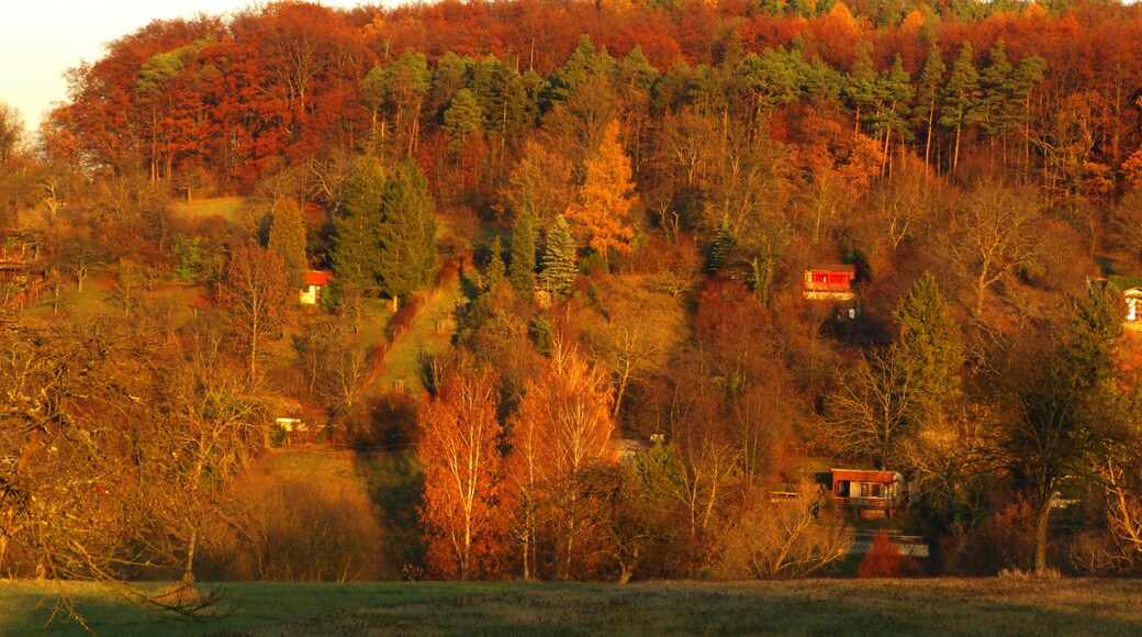 Öschelbronn, Niefern, Baden-Württemberg, Germany