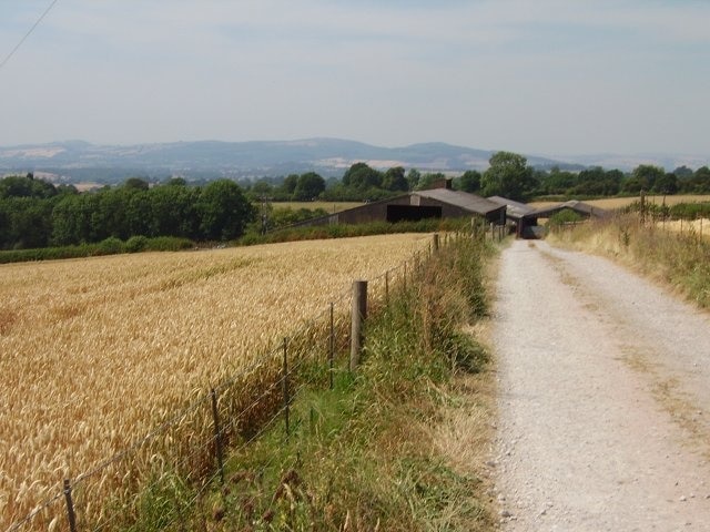 "Nash"-foto av Richard Webb (CC BY-SA) / Urklipp från original