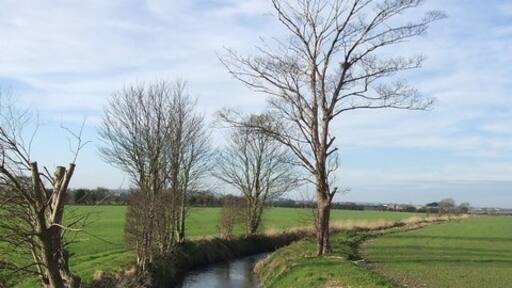 Photo "Edlesborough" by Rob Farrow (CC BY-SA) / Cropped from original