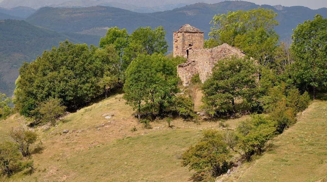 « Sarroqueta», photo de Vincent van Zeijst (CC BY-SA) / rognée de l’originale