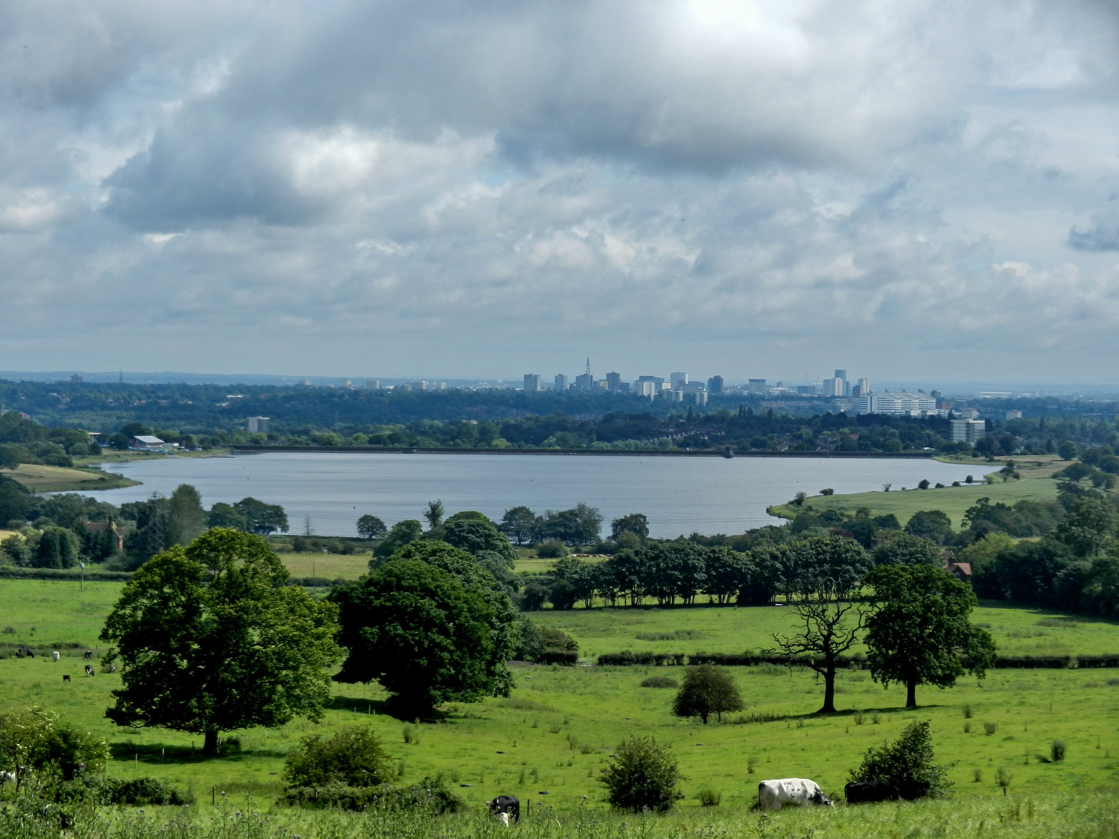 "Frankley"-foto av Tanya Dedyukhina (CC BY) / Urklipp från original