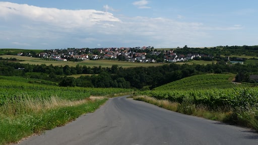 « Rümmelsheim», photo de Edgar El (CC BY) / rognée de l’originale