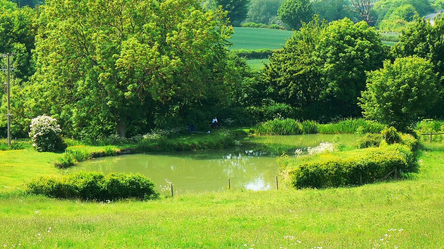 Photo "Fishpond near Aynho" by Brian Robert Marshall (Creative Commons Attribution-Share Alike 2.0) / Cropped from original
