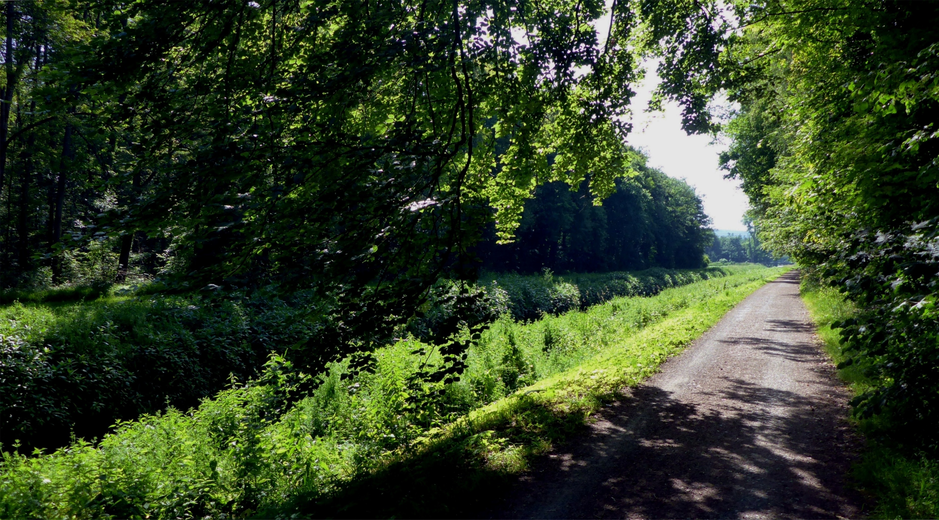 "Nördlich der Pfinz"-foto av Günter Josef Radig (CC BY-SA) / Urklipp från original