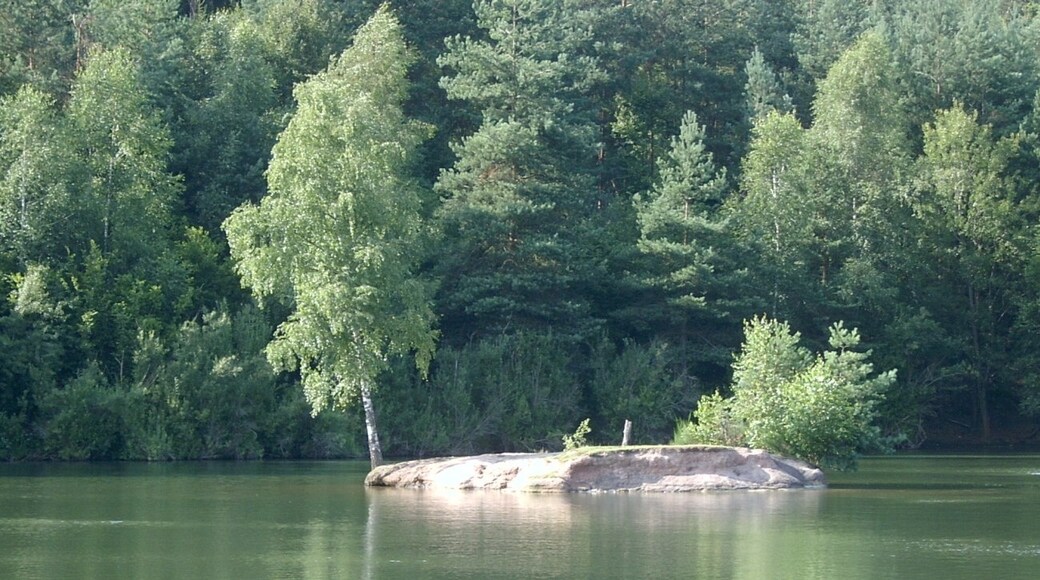 Foto „Forst Kleinschwarzenlohe“ von Siegmar S. (CC BY-SA)/zugeschnittenes Original