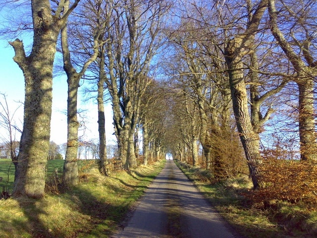 The road to Drumderfit This visually striking track harks back to the days when estate owners invested in trees and landscape.