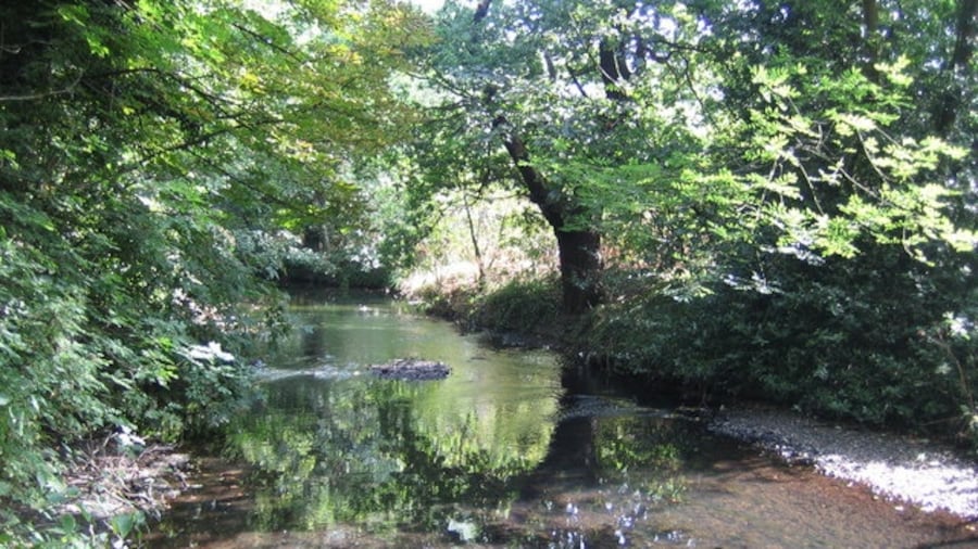 Photo "River Crane in Cranford Park. Viewed looking upstream." by Nigel Cox (Creative Commons Attribution-Share Alike 2.0) / Cropped from original