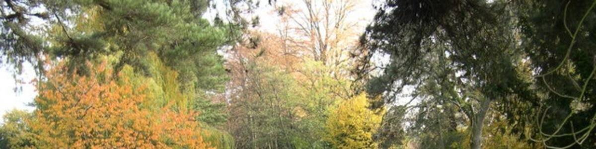 Photo "Reflected trees, Eardisland Reflections in the Arrow, from the small green by the bridge" by Philip Pankhurst (Creative Commons Attribution-Share Alike 2.0) / Cropped from original