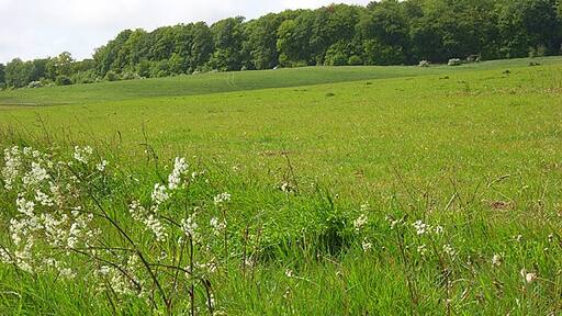 Photo "North Tidworth" by Andrew Smith (CC BY-SA) / Cropped from original