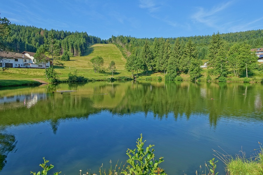 See Am Skilift, Stehlesee, Herrischried-Stehle