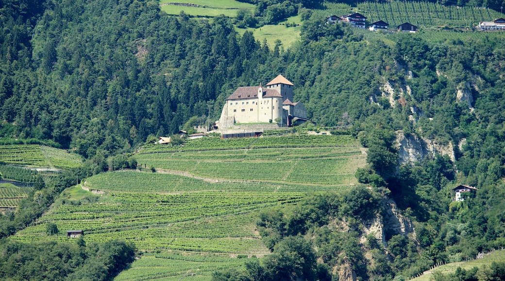 Foto „Schloss Tirol“ von Thesurvived99 (CC BY-SA)/zugeschnittenes Original