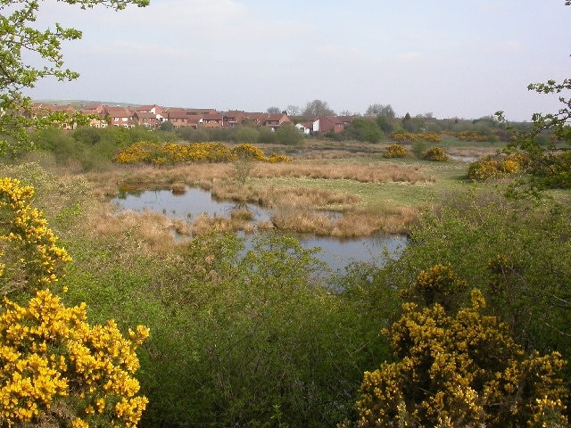 The Carrs, Pity Me, Durham UK. Nature Reserve