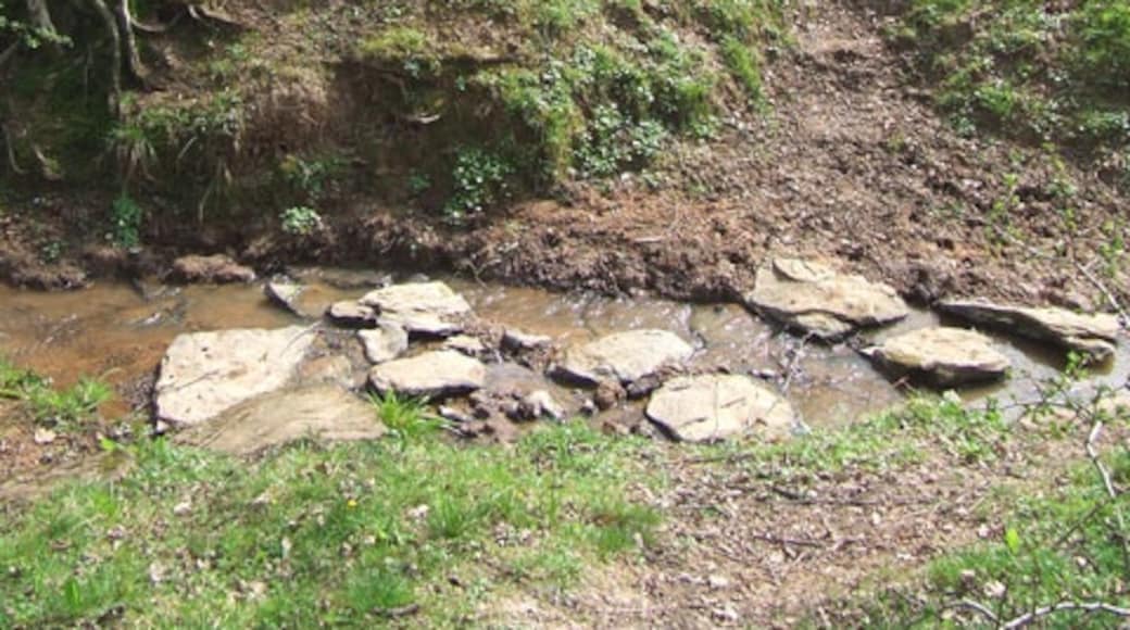 Billede "Romsley" af Roger Kidd (CC BY-SA) / beskåret fra det originale billede