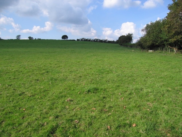 Open field There had been cattle here, but not today.