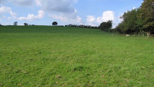 Photo "Gwystre" by Neville Goodman (CC BY-SA) / Cropped from original