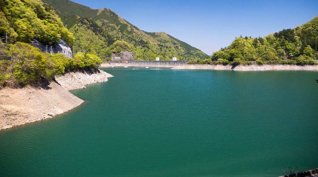 Foto "Lake Okutama" por Rambalac (page does not exist) (CC BY-SA) / Recortada de la original