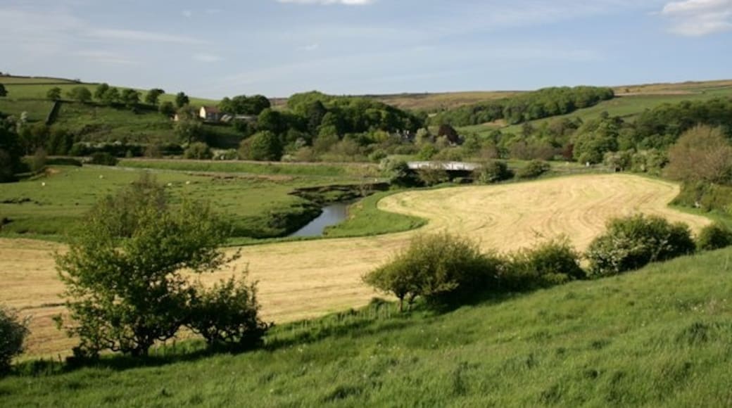 Photo "Ainthorpe" by Mick Garratt (CC BY-SA) / Cropped from original