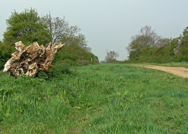 The Viking Way Long Distance Footpath At this point the 147 miles long footpath is close to the Leicestershire village of Sewstern.