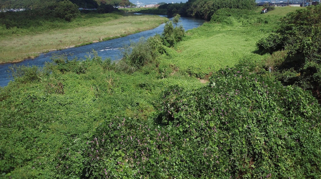 Kano river is located in the east part of Shizuoka prefecture, Japan. This photo was took from Matsubara bridge in Izunokuni city.