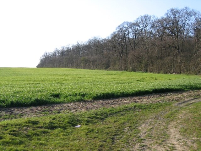 Foto “Croxton” tomada por Rodney Burton (CC BY-SA); recorte de la original