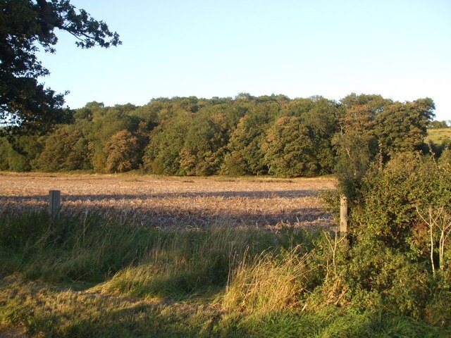 Photo "South Cliffe" by Glyn Drury (CC BY-SA) / Cropped from original