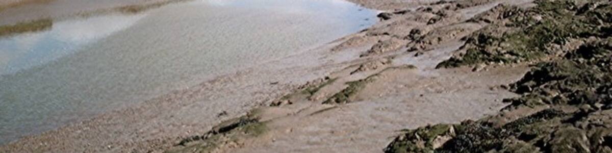 Photo "Low tide - Eastern Creek. Head of eastern creek draining Brandy Hole Marshes at the last of the ebb. Creek is fordable at this point on a narrow shingle bank and is only about two metres wide and 15cm deep." by John Myers (Creative Commons Attribution-Share Alike 2.0) / Cropped from original